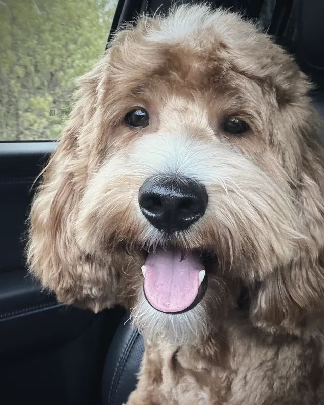 Archie
